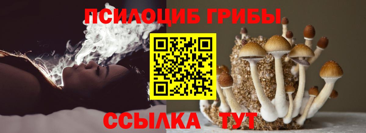 купить наркоту  Галлюциногенные грибы мицелий  Вход с VPN  Корсаков 
